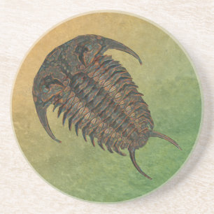 Ceraurus Fossil Trilobite Coaster