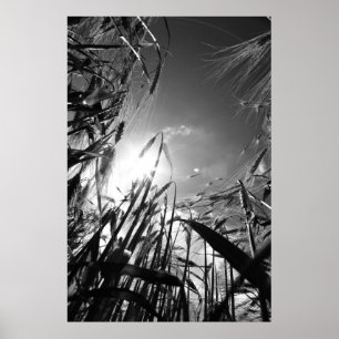 cereal black and white poster