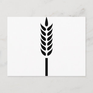 cereal wheat spike postcard