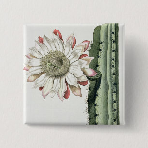 Cereus Erectus Altissimus Syrinamensis from 'Phyth 15 Cm Square Badge