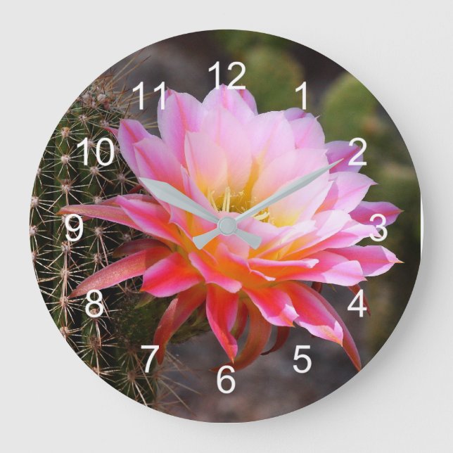 Cereus in Pink Cactus Bloom Large Clock (Front)