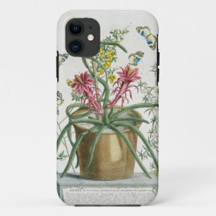 Cereus Minimus, c.1745 (coloured litho) iPhone 11 Case