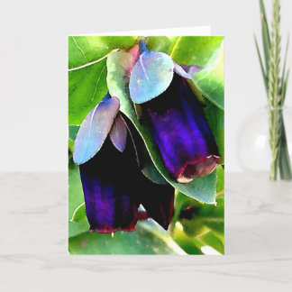 CERINTHE NOTECARD/BLANK CARD