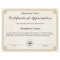Certificate of Appreciation Customisable Award