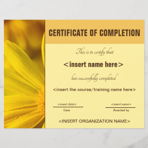 Certificate of Completion
