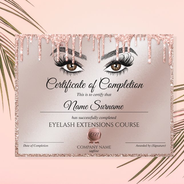 Certificate of Completion Award lashes Course (Creator Uploaded)