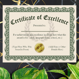 Certificate of Excellence, Customisable 8.5x11