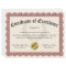 Certificate of Excellence Red Customisable 8.5x11