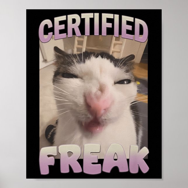 Certified Freak Cat Meme Meme Offensive Memes Funn Poster (Front)