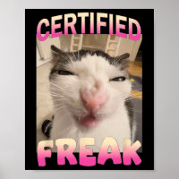 Certified Freak Cat Meme Offensive Memes Funny Cat