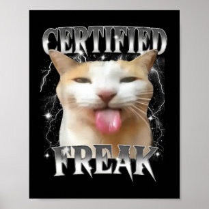 Certified Freak Eat Cement Funny Cursed Silly Cat Poster