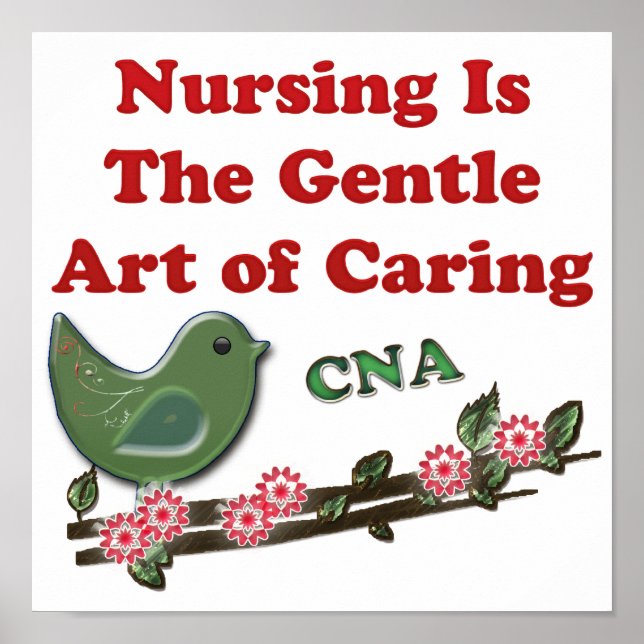 Certified Nursing Assistant Poster (Front)