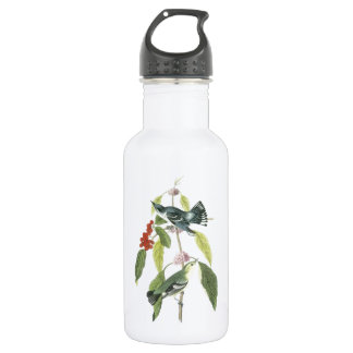 Cerulean Warbler by Audubon 532 Ml Water Bottle