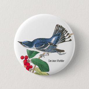 Cerulean Warbler by Audubon, Birders Birdwatchers 6 Cm Round Badge