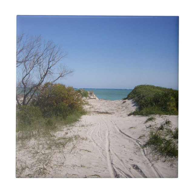 Cervantes WA Ceramic Tile (Front)