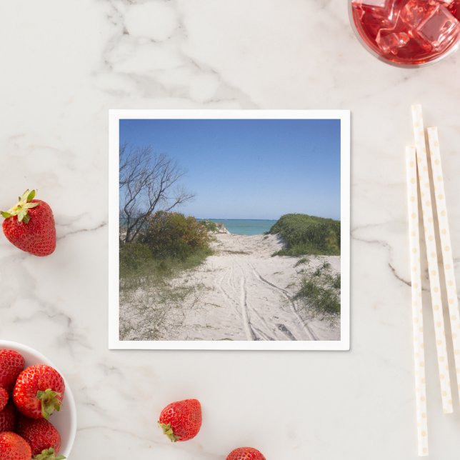 Cervantes WA Paper  Napkin (Insitu)