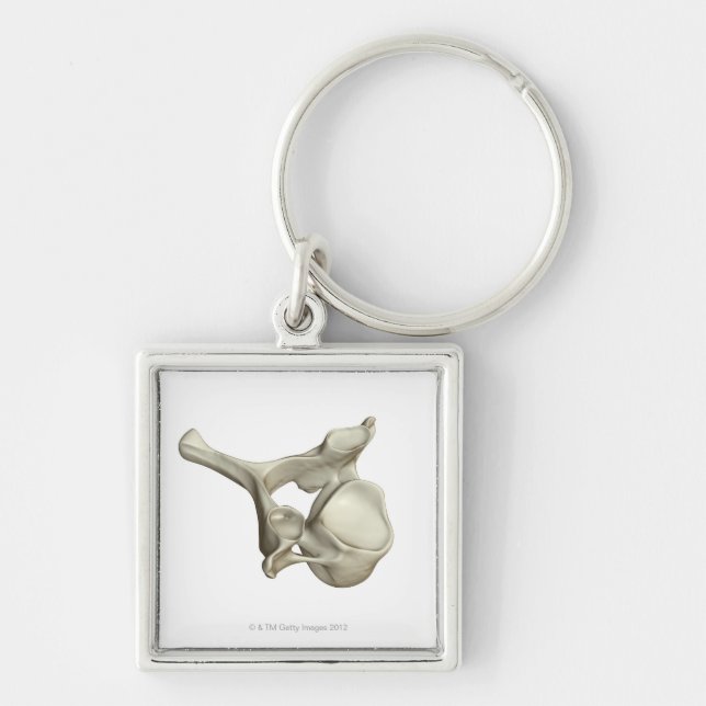 Cervical Vertebra Key Ring (Front)