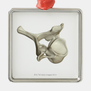 Cervical Vertebra Metal Ornament