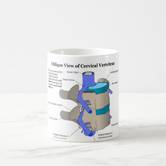 Cervical Vertebra of the Human Spinal Column Coffee Mug (Center)