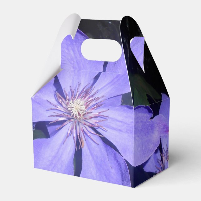 Césarine Favour Box (Front Side)