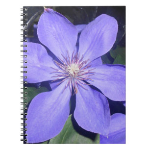 Césarine Notebook