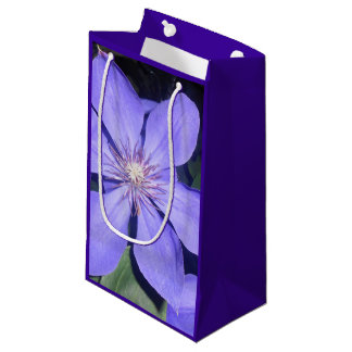 Césarine Small Gift Bag