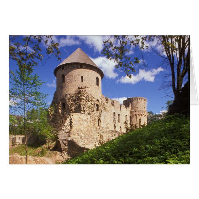 Cesis Castle in central Latvia. (Front Horizontal)