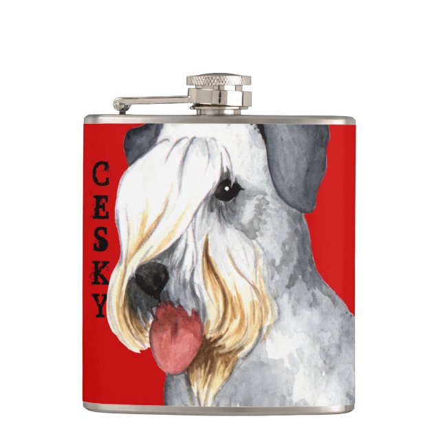 Cesky Terrier Colour Block Hip Flask (Front)