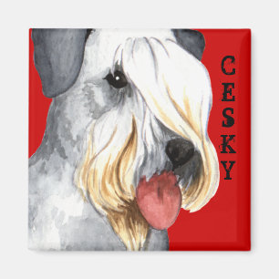 Cesky Terrier Colour Block Magnet