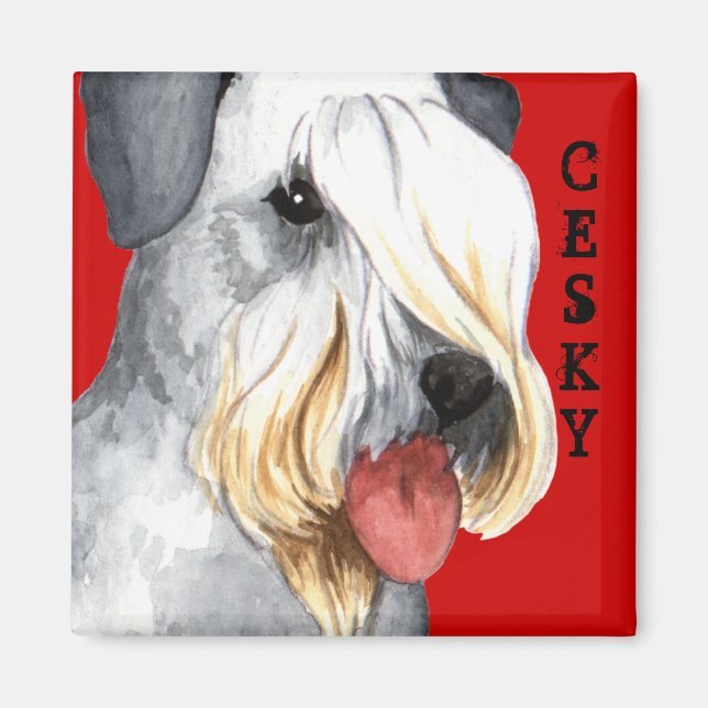 Cesky Terrier Colour Block Magnet (Front)