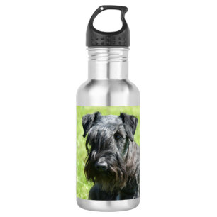 cesky-terrier.png 532 ml water bottle