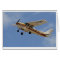 Cessna