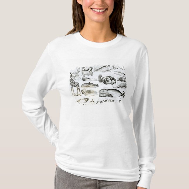 Cetacea Edentata T-Shirt (Front)