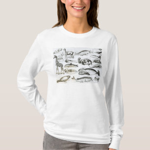 Cetacea Edentata T-Shirt