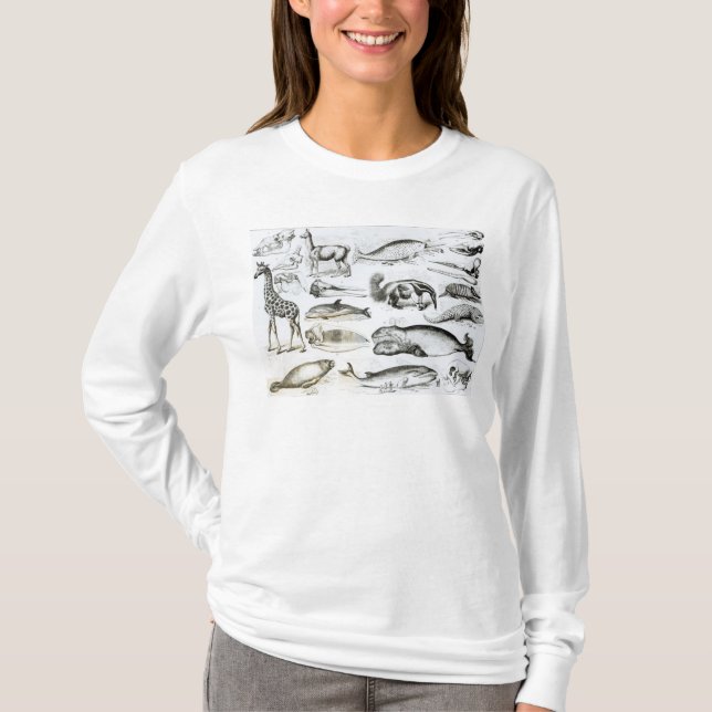 Cetacea Edentata T-Shirt (Front)