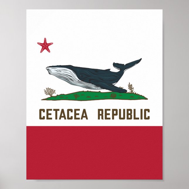 Cetacea Republic Whale Flag Rorqual Poster (Front)