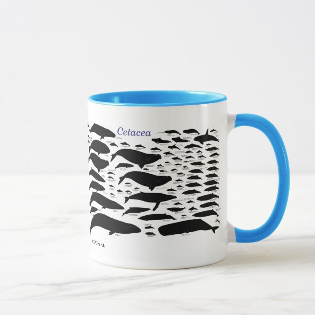 Cetaceans Mug (Right)