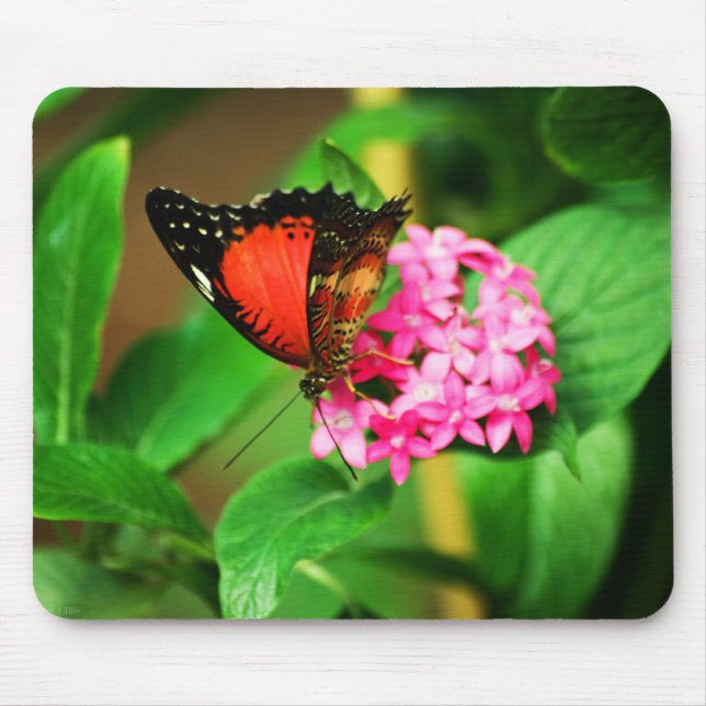 Cethosia biblis Mousepad (Front)