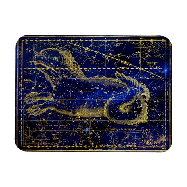cetus constellation magnet (Horizontal)