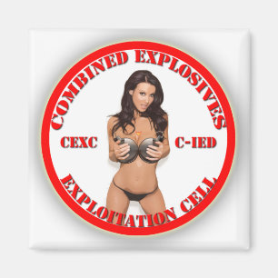 CEXC Combined Explosives Exploitation Cell CIED Magnet