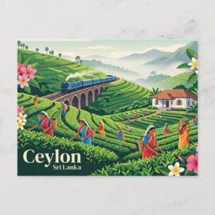 Ceylon Sri Lanka Postcard
