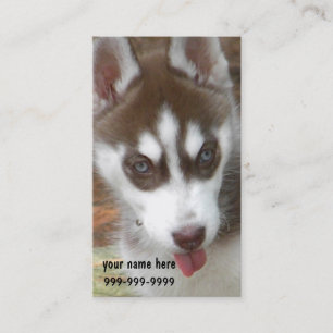 CF- Siberian Husky Puppy Business Cards