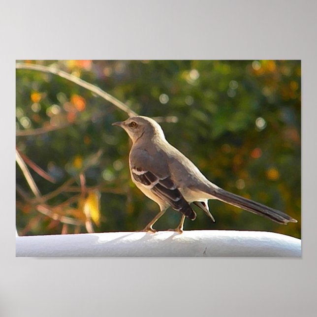 CG- Mockingbird Poster (Front)