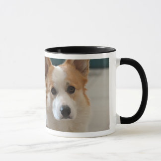CH. DOZER - pembroke welsh corgi face Mug