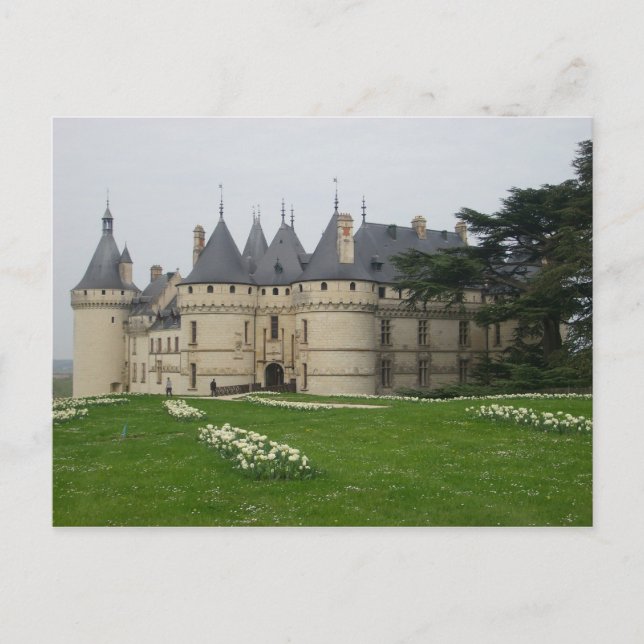 Ch�teau de Chaumont s/Loire - Postcard (Front)