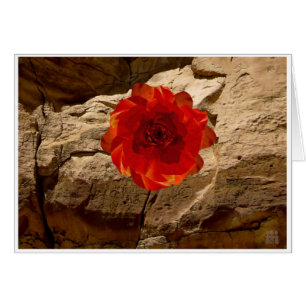 Chaco Stone Rose