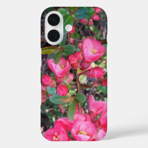Chaenomeles japonica , Ornamental quince iPhone 16 Case