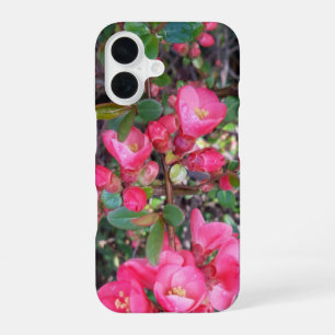 Chaenomeles japonica , Ornamental quince iPhone 16 Case
