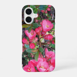Chaenomeles japonica , Ornamental quince iPhone 16 Case