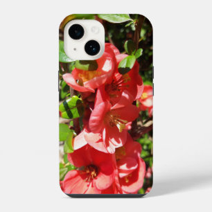 Chaenomeles japonica , Ornamental quince iPhone 14 Case
